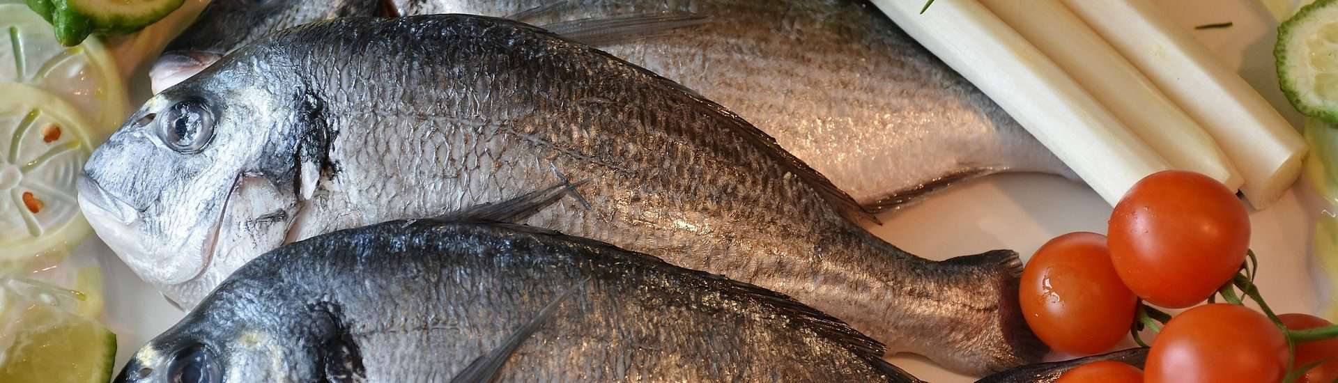 Suplemento Vs. Pescado